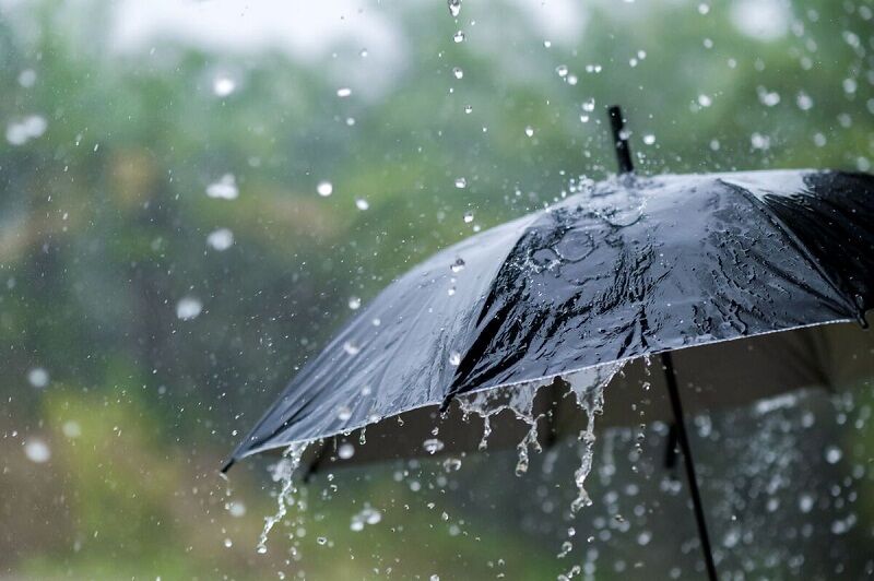 پانار | پارس ساختار | بارش پراکنده باران و وزش باد در نیمه شمالی کشور