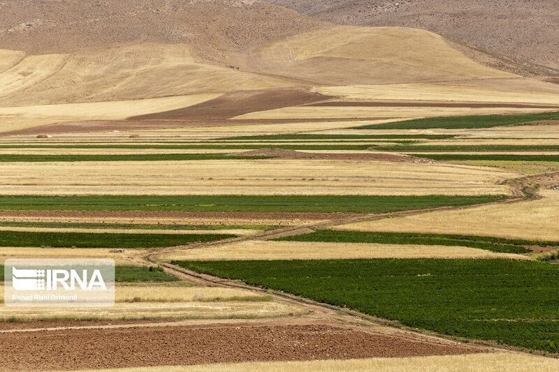 پانار | پارس ساختار | ۳۹۵ هکتار اراضی کشاورزی در آذربایجان شرقی واگذار شد
