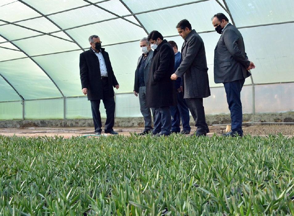 پانار | پارس ساختار | آذربایجان‌شرقی در توسعه گلخانه‌ها رتبه نخست کشوری را داراست