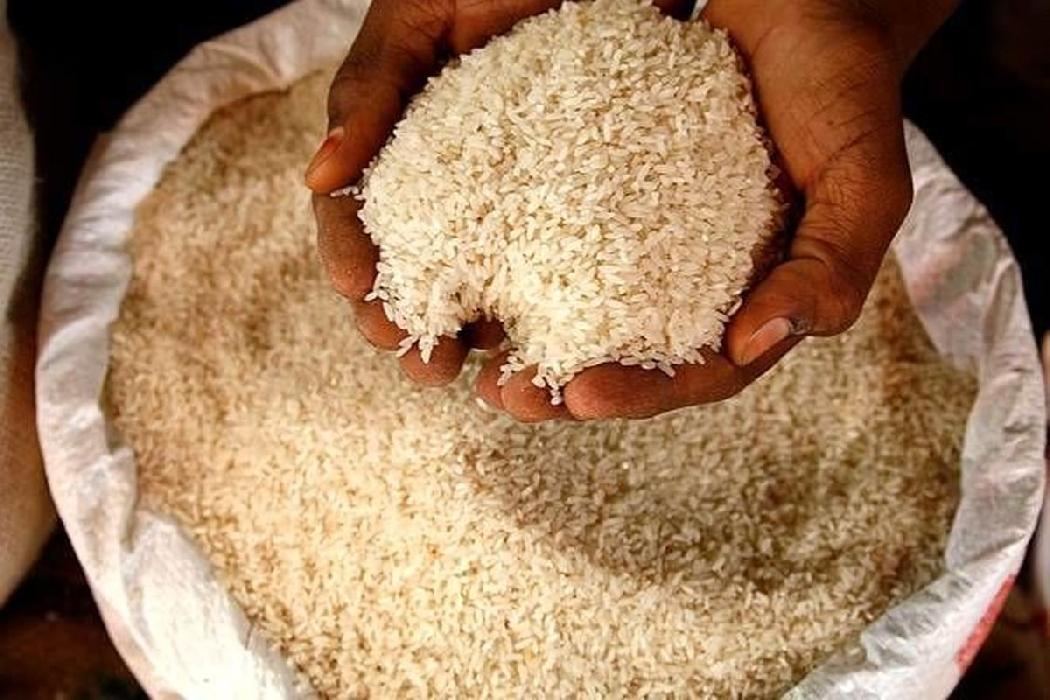 پانار | پارس ساختار | سایه قیمت پرانی در بازار برنج؛ بازی همه سر باخت