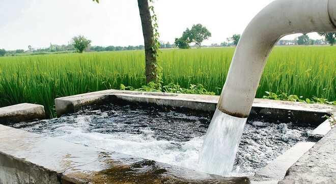 پانار | پارس ساختار | اتلاف ۵۵ درصدی آب در بخش کشاورزی و ۳۰ درصدی در بخش شرب
