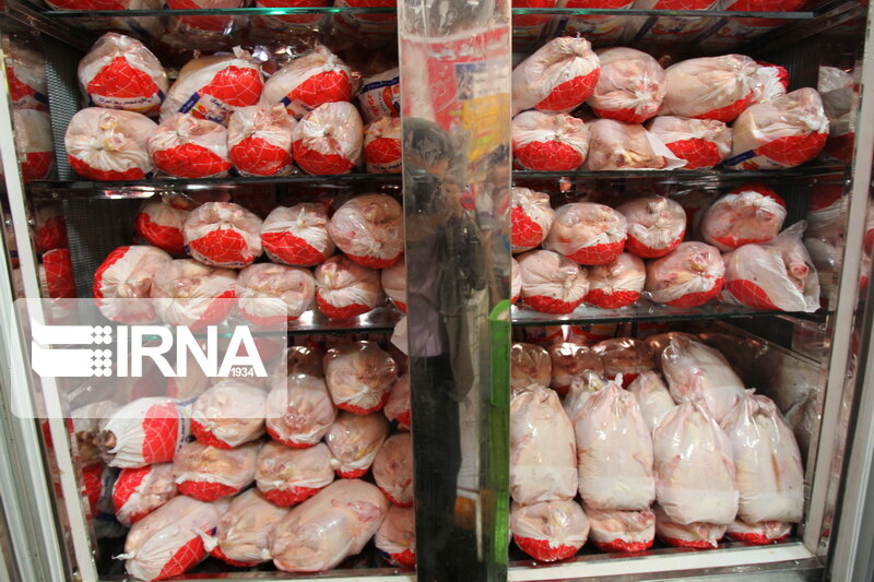 پانار | پارس ساختار | کاهش قیمت گوشت مرغ در میادین میوه و تره‌بار؛ هر کیلو کمتر از ۵۰ هزار تومان