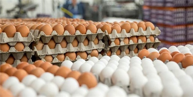 پانار | پارس ساختار | اختلاف فاحش قیمت تخم مرغ درب مرغداری و فروشگاه به جیب چه کسانی می‌رود