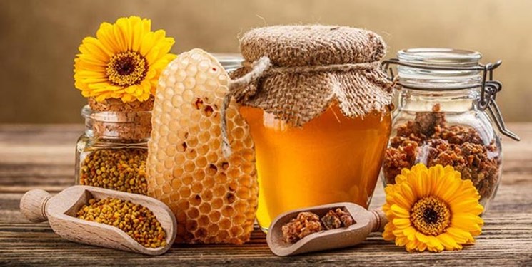 پانار | پارس ساختار | جایگاه سوم تولید عسل ایران در دنیا/ عسل ایرانی به 22 کشور جهان صادر می شود