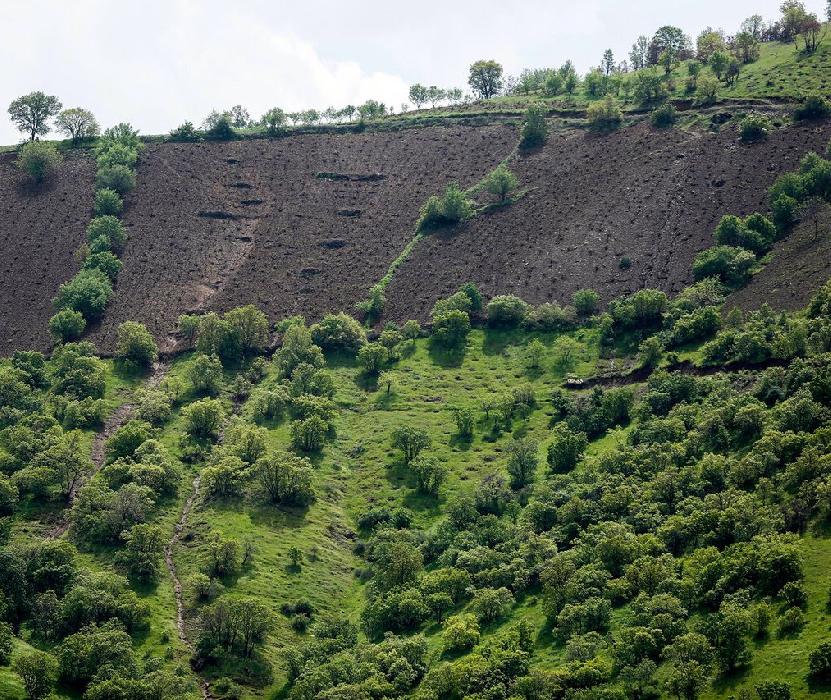 پانار | پارس ساختار | بررسی الزامات اجرایی طرح کاشت یک میلیارد درخت در شورای عالی عتف