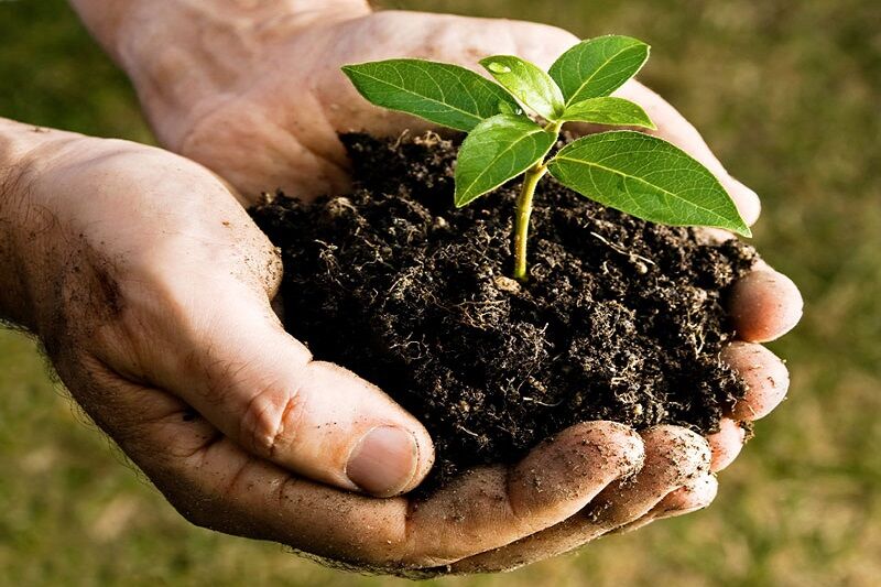 پانار | پارس ساختار | پویش گرامیداشت روز جهانی خاک راه‌انداری شد/ تامین منابع اعتباری در برنامه هفتم توسعه