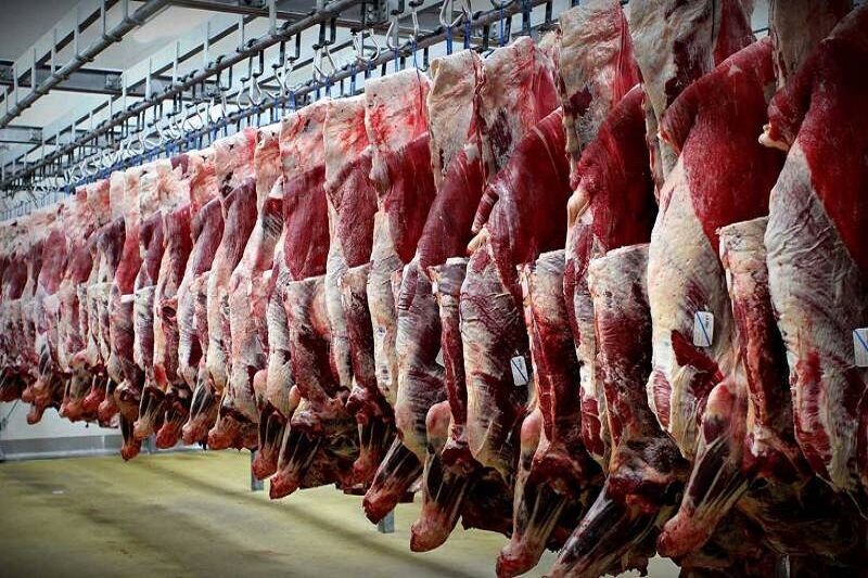 پانار | پارس ساختار | ورود ۴۰ هزار تن گوشت منجمد به کشور تا پیش از ماه رمضان