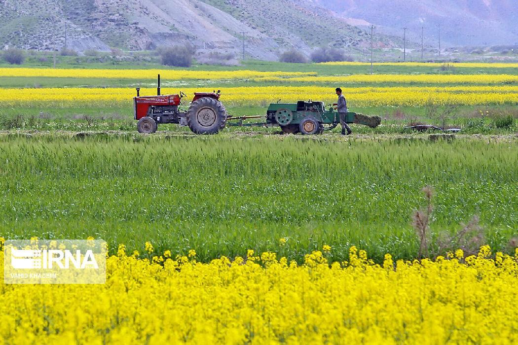 پانار | پارس ساختار | وزیر جهاد کشاورزی: اجرای الگوی کشت نیازمند مشوق‌های قوی برای سال زراعی آینده است