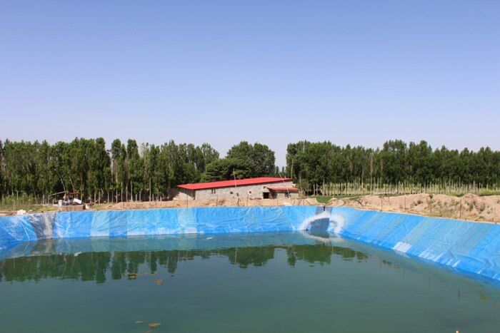 پانار | پارس ساختار | خطر مرگ در استخرهای ذخیره آب کشاورزی