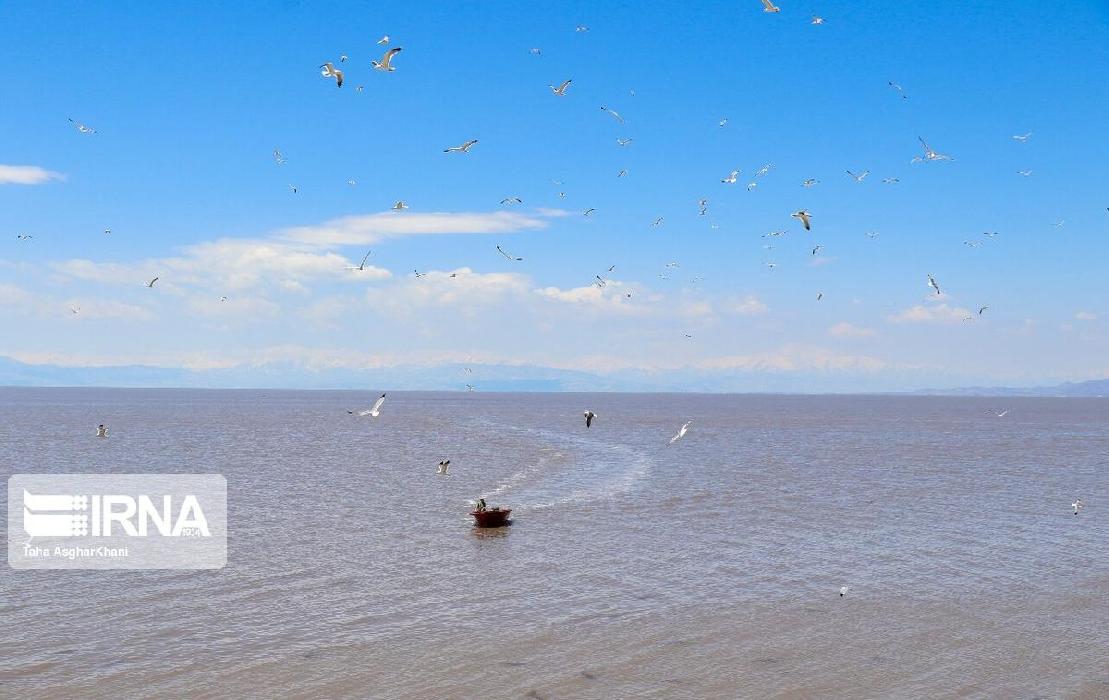 پانار | پارس ساختار | نجات ۲ زوج گرفتار از امواج دریاچه ارومیه