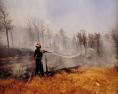 پانار | پارس ساختار | اطفای کامل آتش‌سوزی در جنگل‌های ارسباران