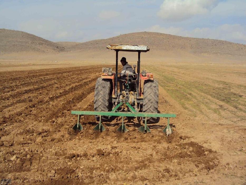 پانار | پارس ساختار | رییس جهاد کشاورزی: ۷۲۰ هزار هکتار از اراضی کشاورزی آذربایجان‌شرقی زیر کشت پاییزه می‌رود