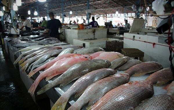 پانار | پارس ساختار | هشدار درباره سرانه پایین مصرف ماهی در آذربایجان‌شرقی
