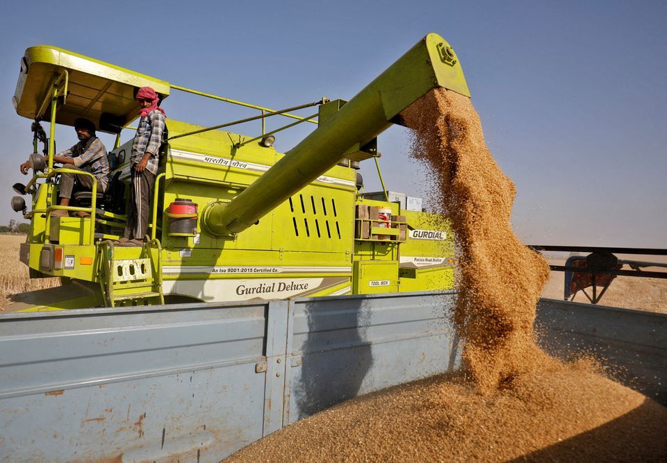 پانار | پارس ساختار | خرید ۳ میلیون تن گندم از گندمکاران به ارزش ۳۵ هزار میلیارد تومان