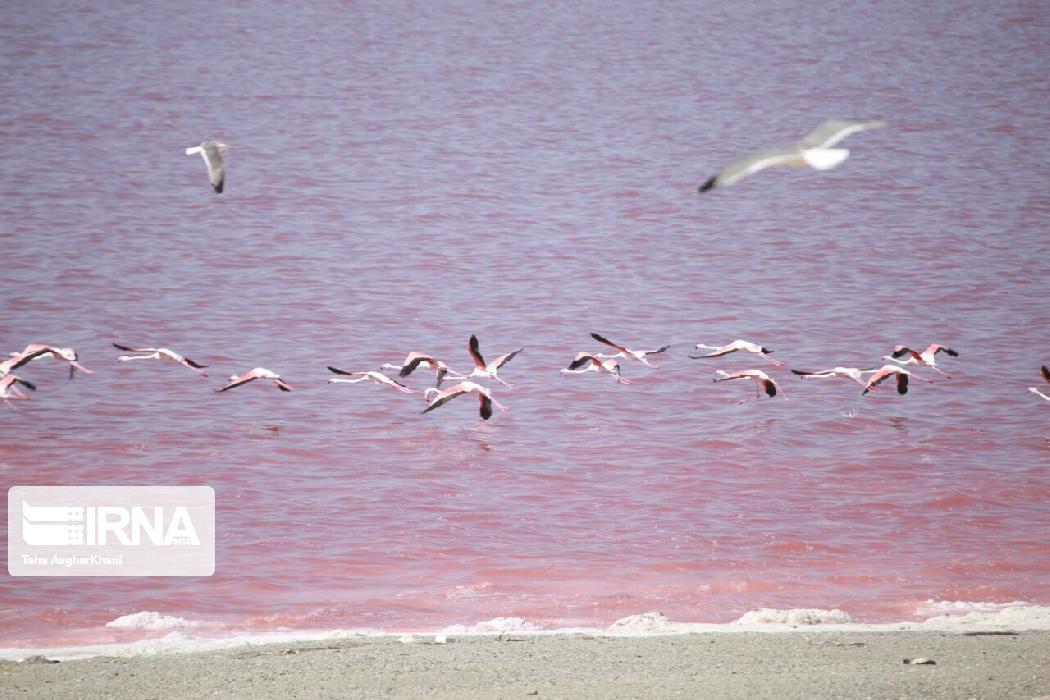 پانار | پارس ساختار | حمایت مالی سفیر ژاپن از مدیریت پایدار منابع آبی در حوزه آبریز دریاچه ارومیه