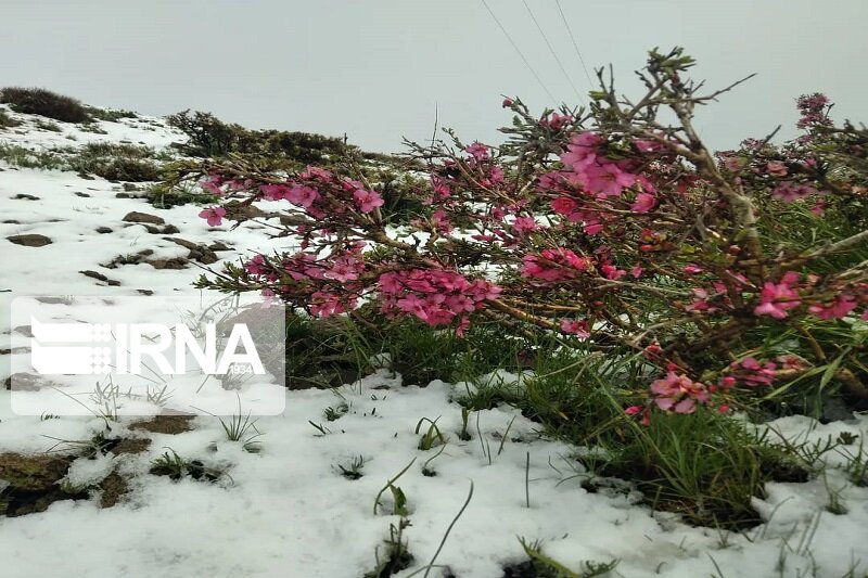 پانار | پارس ساختار | پیش‌بینی کاهش دما و بارش برف در آذربایجان‌شرقی